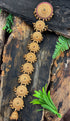 Gold Plated Hair Jada/Amboda/Hair Pin/Jada Bille  0825