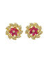 Gold Plated Stones Jhumki earrings with interchangeable stones