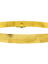 Premium Gold Finish Bridal Vadanam/Vodiannam/waistbelt