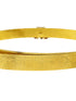 Premium Gold Finish Bridal Vadanam/Vodiannam/waistbelt
