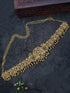 Premium Gold Finish Bridal Vadanam/Vodiannam/waistbelt