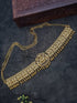 Premium Gold Finish Bridal Vadanam/Vodiannam/waistbelt