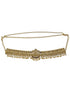 Premium Gold Finish Bridal Vadanam/Vodiannam/waistbelt