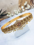 Premium Gold Finish Bridal Vadanam/Vodiannam/waistbelt