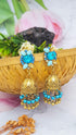 Fancy Long Party Earrings
