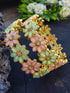 Gold Plated Set of 2 designer Bangles with Mint Green and Mint Pink Color  9321B