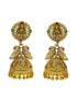 Gold plated Classic design Jhumka Earrings - Griiham