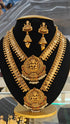 Premium Gold Finish Kasu Necklace Combo Set