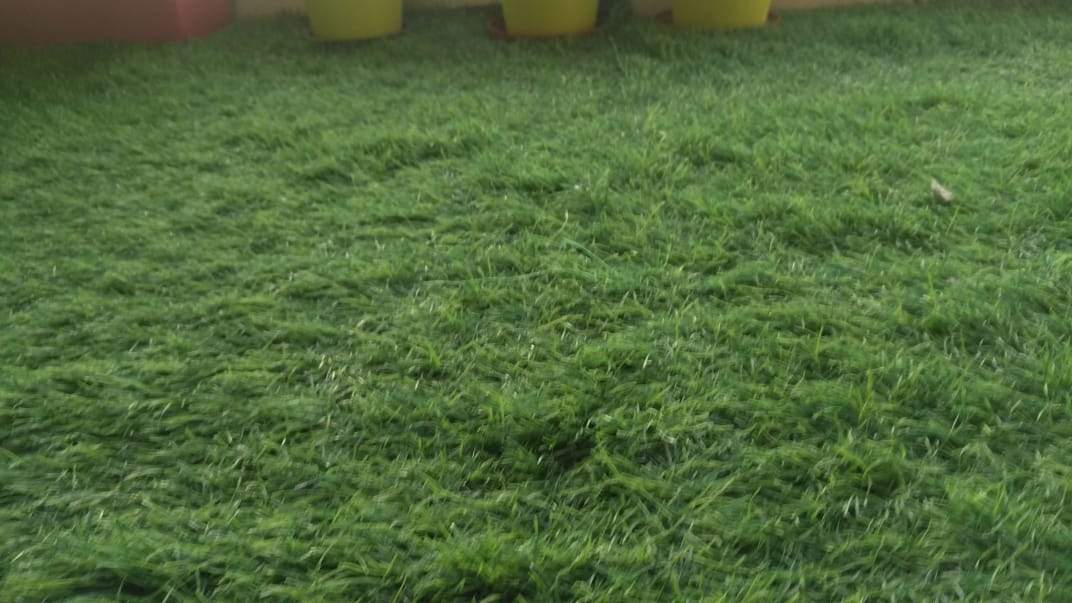 55mm High Density Artificial Turf Mat / Grass Carpet Mat - (6.5ft x 14ft)