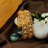 Gold Plated Set of 2 designer Bangles with MultiColor stones 8961B