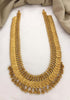 Premium Gold Finish Kasu necklace with ghungroo 10841N