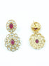 Premium Gold Polki Necklace Set with Colour Options 12579N